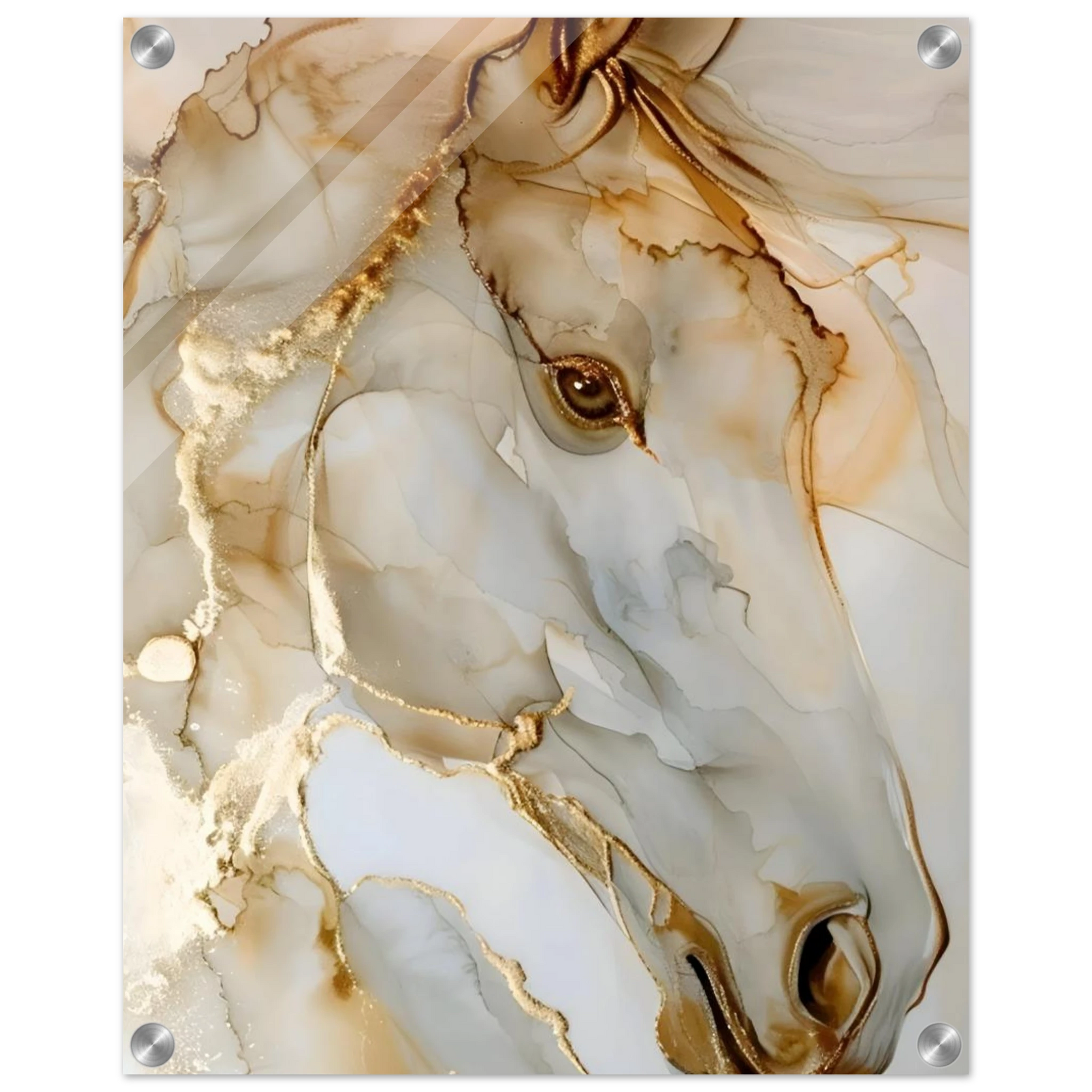 cc50ace2-7786-4a0d-aa02-e57012b28a67